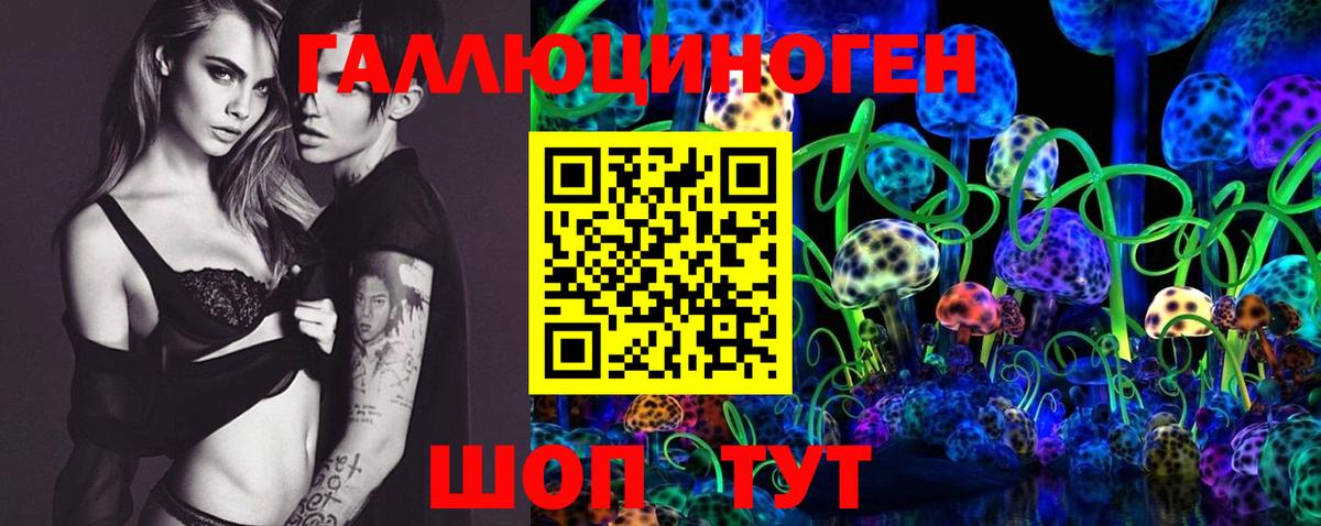 Галлюциногенные грибы Psilocybe Красноуфимск